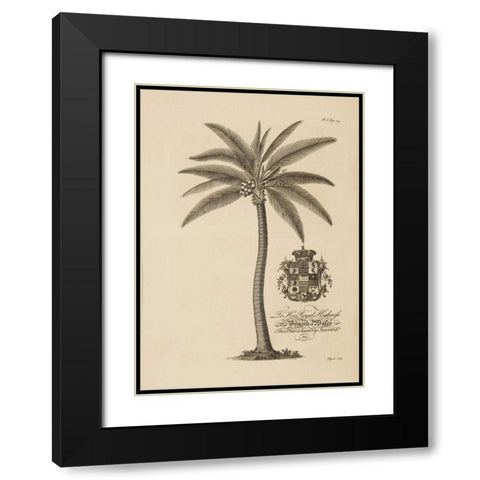 Coconut Palm Black Modern Wood Framed Art Print with Double Matting by Ehret, Georg