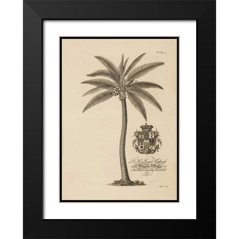 Coconut Palm Black Modern Wood Framed Art Print with Double Matting by Ehret, Georg
