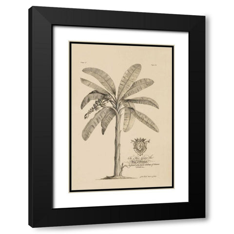 Banana Tree Black Modern Wood Framed Art Print with Double Matting by Ehret, Georg