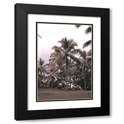 Coconut Palm, Serai Black Modern Wood Framed Art Print with Double Matting by Blue, Cyril