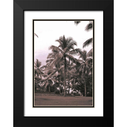 Coconut Palm, Serai Black Modern Wood Framed Art Print with Double Matting by Blue, Cyril