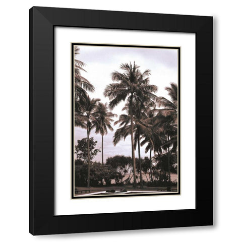 Coconut Grove, Candidasa Black Modern Wood Framed Art Print with Double Matting by Blue, Cyril