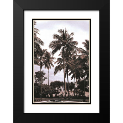 Coconut Grove, Candidasa Black Modern Wood Framed Art Print with Double Matting by Blue, Cyril