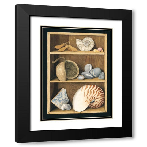 Shells on Shelves Black Modern Wood Framed Art Print with Double Matting by Baron, Jenny