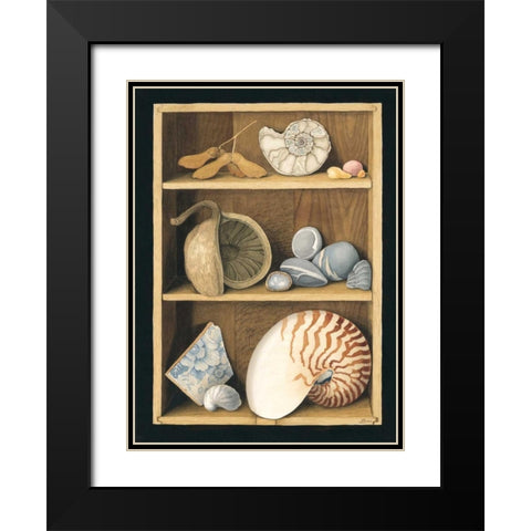 Shells on Shelves Black Modern Wood Framed Art Print with Double Matting by Baron, Jenny