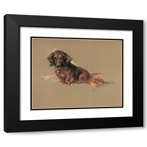 Daschund, Robin Black Modern Wood Framed Art Print with Double Matting by Dawson, Lucy
