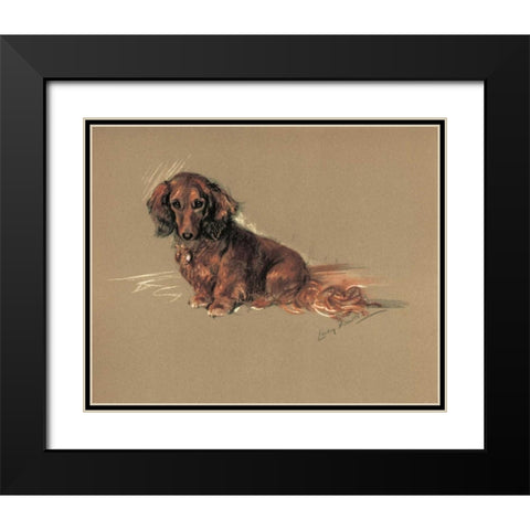 Daschund, Robin Black Modern Wood Framed Art Print with Double Matting by Dawson, Lucy