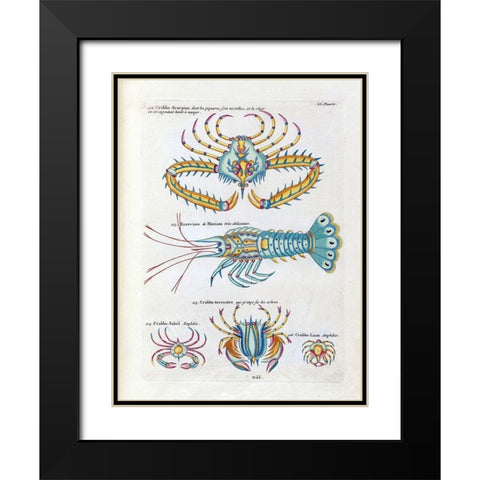 Crabbe- Scorpion Black Modern Wood Framed Art Print with Double Matting by Renard, Louis
