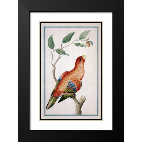 Lory, Right facing Black Modern Wood Framed Art Print with Double Matting by De Bevere, Pieter