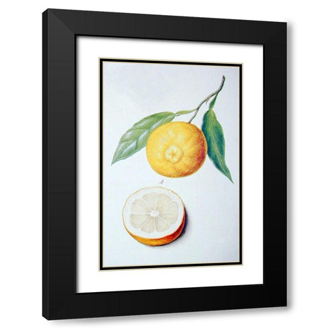 Orange Black Modern Wood Framed Art Print with Double Matting by Ledoulx, Pierre