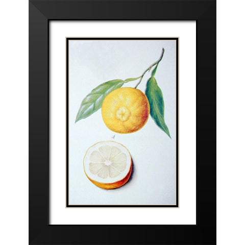 Orange Black Modern Wood Framed Art Print with Double Matting by Ledoulx, Pierre
