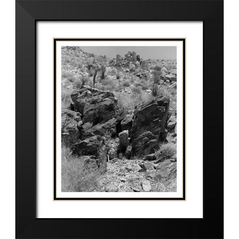Twentynine Palms, San Bernadino, c1910 Black Modern Wood Framed Art Print with Double Matting by Anonymous