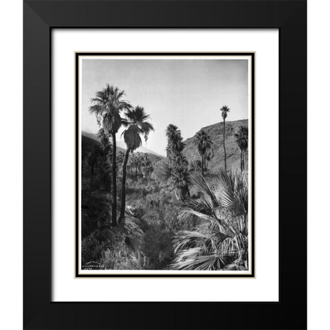 Palm Canyon, Palm Springs c,1903 Black Modern Wood Framed Art Print with Double Matting by Anonymous