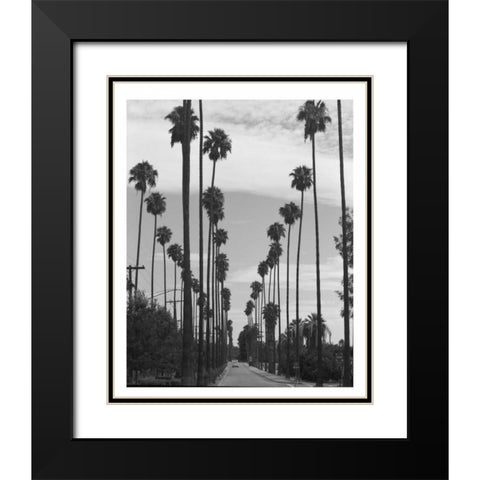 Palm Trees, Victoria Ave, Riverside c1910 Black Modern Wood Framed Art Print with Double Matting by Anonymous