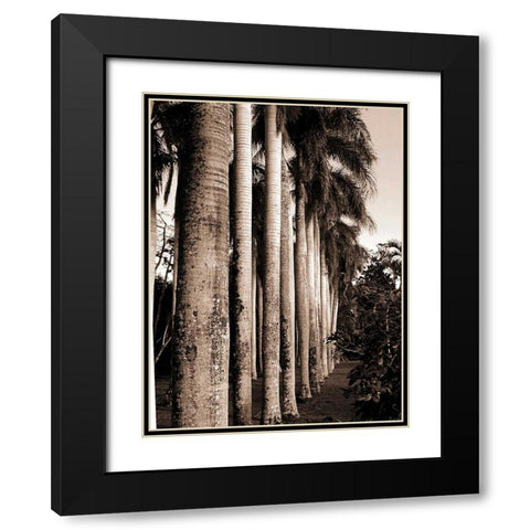King Palms, Mauritius Black Modern Wood Framed Art Print with Double Matting by Blue, Cyril