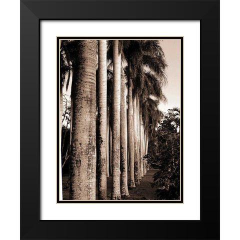 King Palms, Mauritius Black Modern Wood Framed Art Print with Double Matting by Blue, Cyril