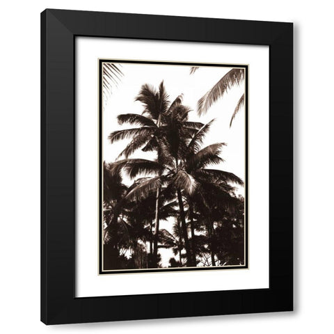 Coconut Palm, Bali Black Modern Wood Framed Art Print with Double Matting by Blue, Cyril