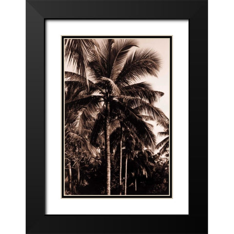 Coconut Palm, Bali Black Modern Wood Framed Art Print with Double Matting by Blue, Cyril