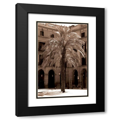 Canary Palm, Barcelona Black Modern Wood Framed Art Print with Double Matting by Blue, Cyril