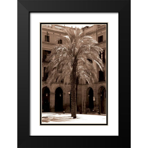 Canary Palm, Barcelona Black Modern Wood Framed Art Print with Double Matting by Blue, Cyril