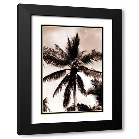 Coconut Palm, Bali Black Modern Wood Framed Art Print with Double Matting by Blue, Cyril