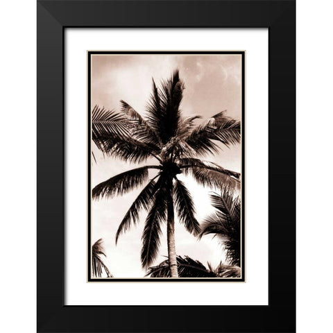 Coconut Palm, Bali Black Modern Wood Framed Art Print with Double Matting by Blue, Cyril