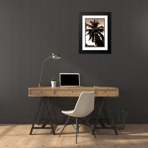 Coconut Palm, Bali Black Modern Wood Framed Art Print with Double Matting by Blue, Cyril