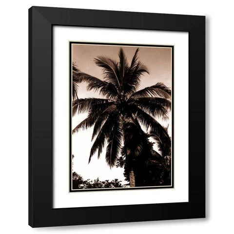 Coconut Palm, Bali Black Modern Wood Framed Art Print with Double Matting by Blue, Cyril