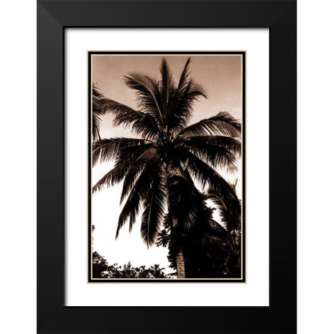 Coconut Palm, Bali Black Modern Wood Framed Art Print with Double Matting by Blue, Cyril