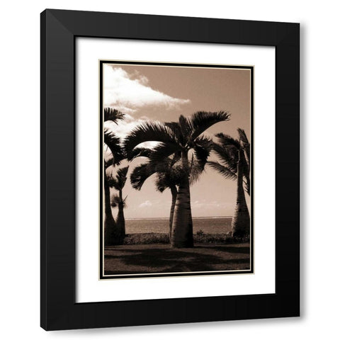 Date Palm, Mauritius Black Modern Wood Framed Art Print with Double Matting by Blue, Cyril