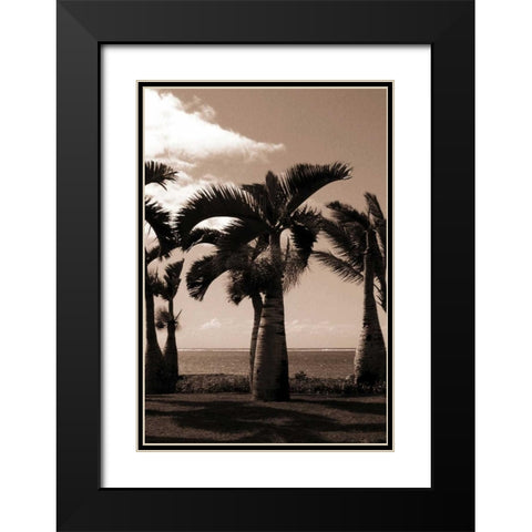 Date Palm, Mauritius Black Modern Wood Framed Art Print with Double Matting by Blue, Cyril