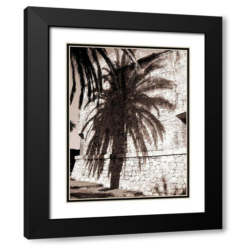 Palm Shadow, Antibes Black Modern Wood Framed Art Print with Double Matting by Blue, Cyril
