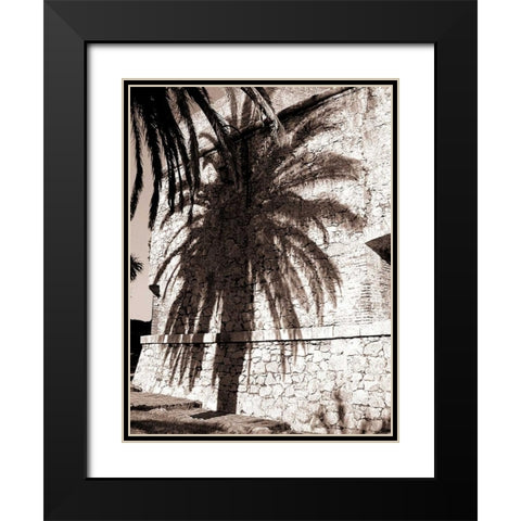 Palm Shadow, Antibes Black Modern Wood Framed Art Print with Double Matting by Blue, Cyril
