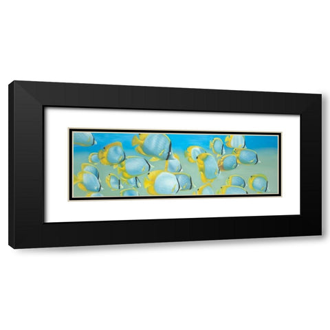 Butterfly Fishs Black Modern Wood Framed Art Print with Double Matting by Atelier B Art Studio