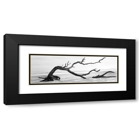 DEAD TREE IN THE MIDDLE OF WATER Black Modern Wood Framed Art Print with Double Matting by Atelier B Art Studio