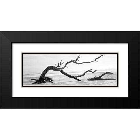 DEAD TREE IN THE MIDDLE OF WATER Black Modern Wood Framed Art Print with Double Matting by Atelier B Art Studio