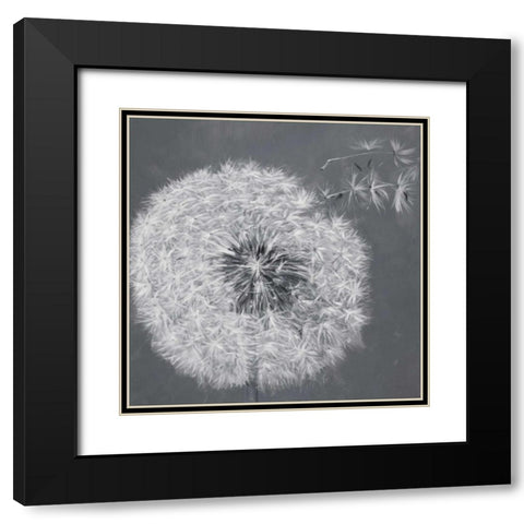 Blowing Dandelion Black Modern Wood Framed Art Print with Double Matting by Atelier B Art Studio