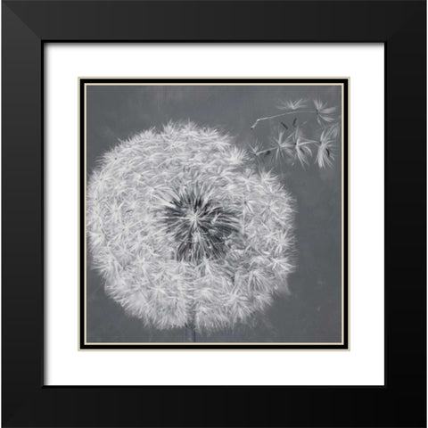 Blowing Dandelion Black Modern Wood Framed Art Print with Double Matting by Atelier B Art Studio