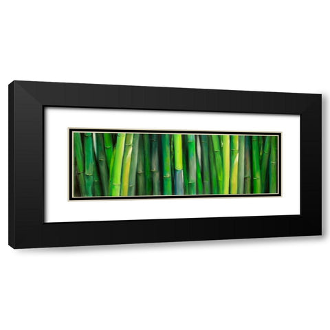 Bamboo Plant Black Modern Wood Framed Art Print with Double Matting by Atelier B Art Studio