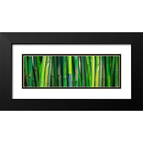 Bamboo Plant Black Modern Wood Framed Art Print with Double Matting by Atelier B Art Studio