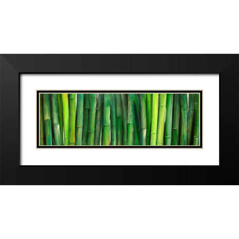 Green Bamboo Black Modern Wood Framed Art Print with Double Matting by Atelier B Art Studio