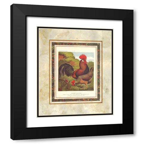 Brown Leg Horn, Cassells Poultry Book Black Modern Wood Framed Art Print with Double Matting by Ludlow, J.W.