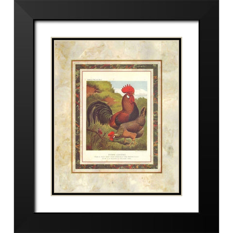 Brown Leg Horn, Cassells Poultry Book Black Modern Wood Framed Art Print with Double Matting by Ludlow, J.W.