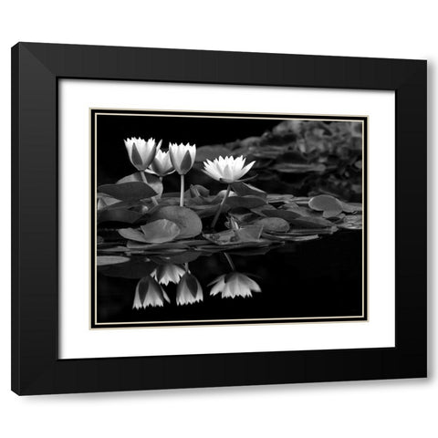 Reflections on Water Black Modern Wood Framed Art Print with Double Matting by Frates, Dennis