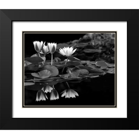 Reflections on Water Black Modern Wood Framed Art Print with Double Matting by Frates, Dennis