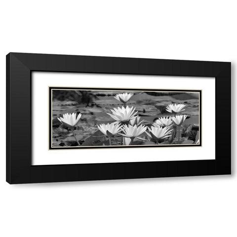White Innocence Water Black Modern Wood Framed Art Print with Double Matting by Frates, Dennis