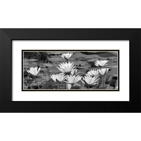 White Innocence Water Black Modern Wood Framed Art Print with Double Matting by Frates, Dennis
