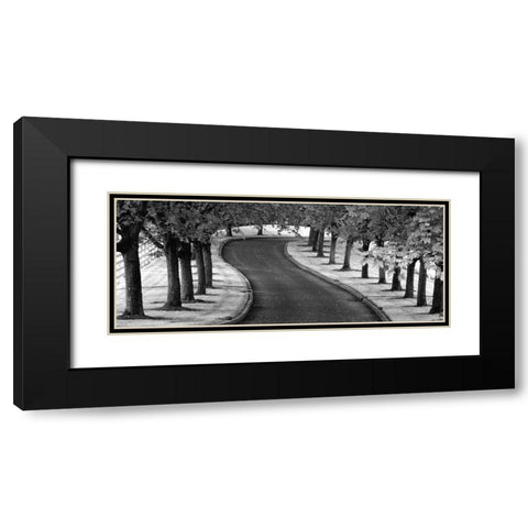 Maple Tree Lined Drive Black Modern Wood Framed Art Print with Double Matting by Frates, Dennis
