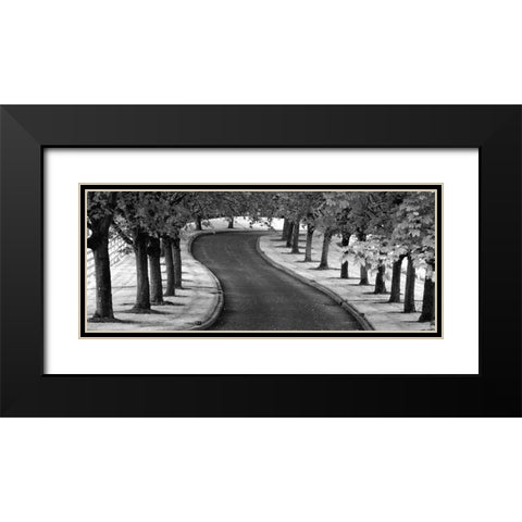 Maple Tree Lined Drive Black Modern Wood Framed Art Print with Double Matting by Frates, Dennis