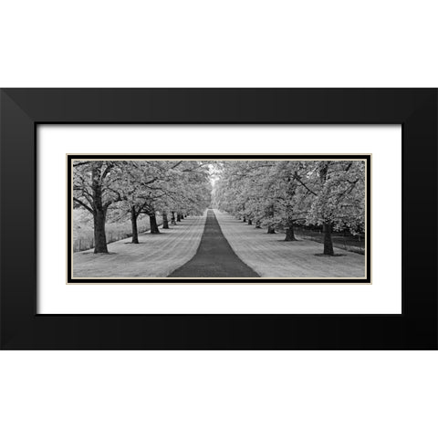 Maple Lined Road Black Modern Wood Framed Art Print with Double Matting by Frates, Dennis